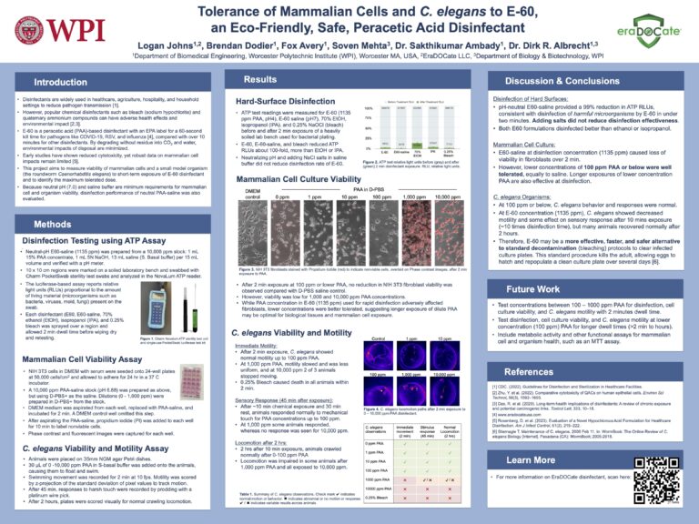 WPI E-60 poster preview